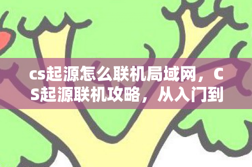 cs起源怎么联机局域网，CS起源联机攻略，从入门到进阶