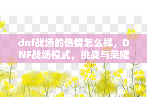 dnf战场的热情怎么样图片