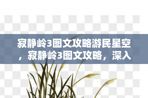 寂静岭3图文攻略游民星空图片