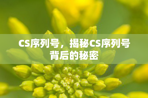 CS序列号，揭秘CS序列号背后的秘密