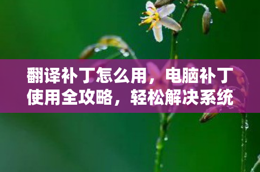 电脑补丁使用全攻略图片