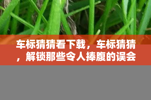 解锁那些令人捧腹的误会图片