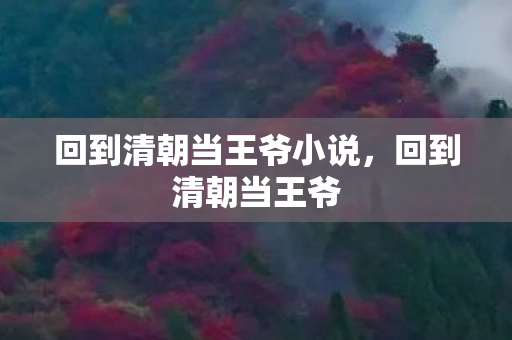 回到清朝当王爷小说图片