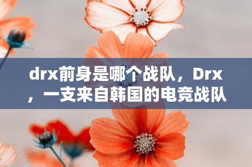 一支来自韩国的电竞战队图片