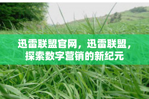 探索数字营销的新纪元图片