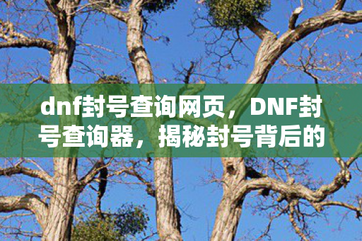 dnf封号查询网页图片