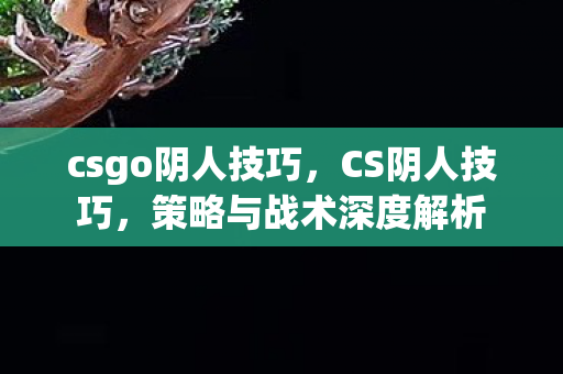 csgo阴人技巧，CS阴人技巧，策略与战术深度解析