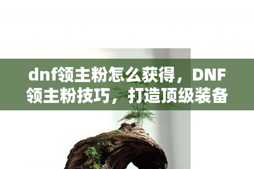 dnf领主粉怎么获得图片