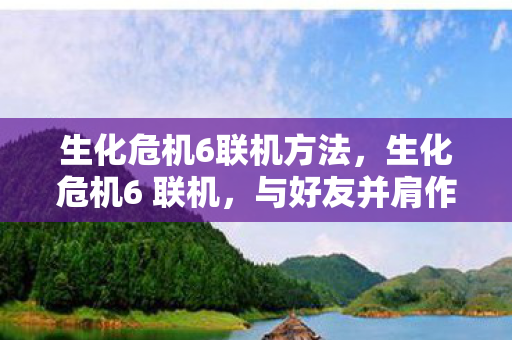 生化危机6联机方法图片