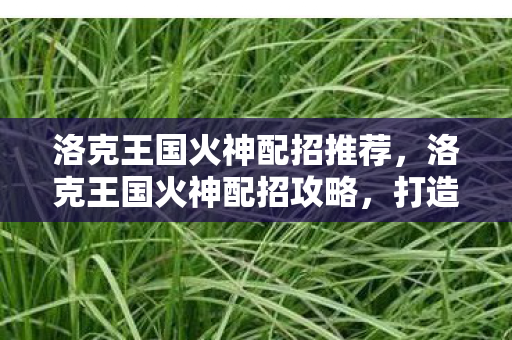 洛克王国火神配招推荐图片