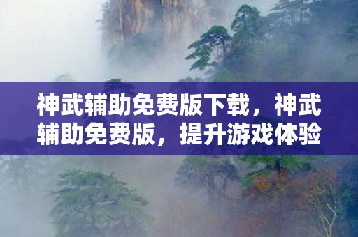 提升游戏体验的明智选择图片