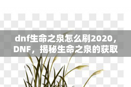 dnf生命之泉怎么刷2020图片