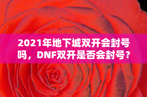 2021年地下城双开会封号吗图片