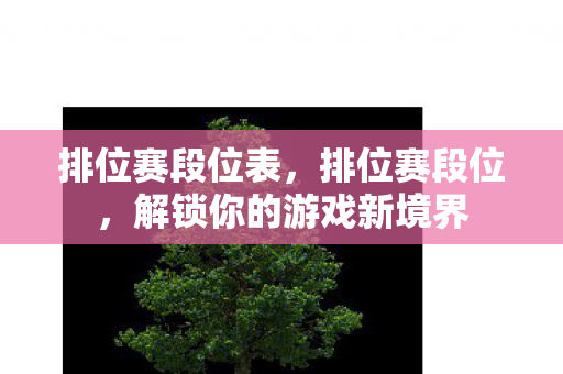 解锁你的游戏新境界图片