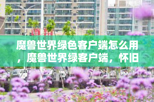 魔兽世界绿色客户端怎么用图片