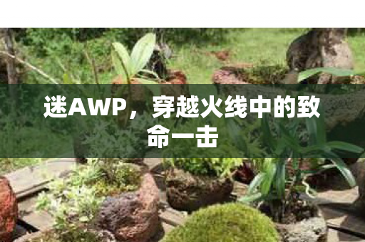 穿越火线中的致命一击图片