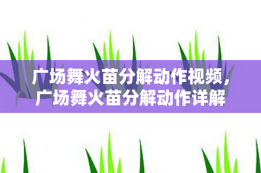 广场舞火苗分解动作视频图片