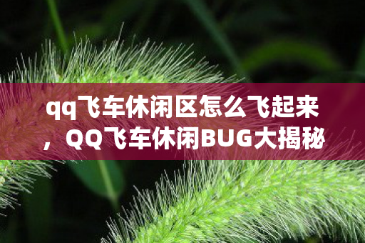 qq飞车休闲区怎么飞起来图片