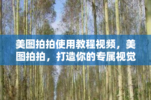 美图拍拍使用教程视频图片