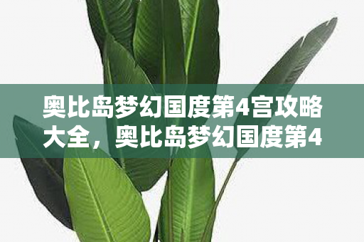 奥比岛梦幻国度第4宫攻略大全图片