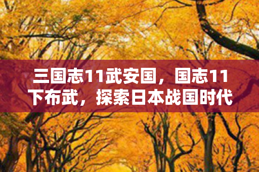 探索日本战国时代的英雄传奇图片