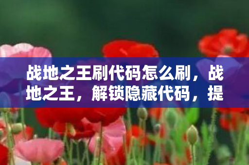 战地之王刷代码怎么刷图片