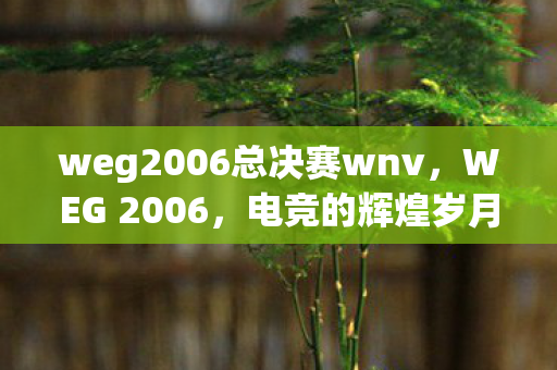weg2006总决赛wnv，WEG 2006，电竞的辉煌岁月与未来的无限可能