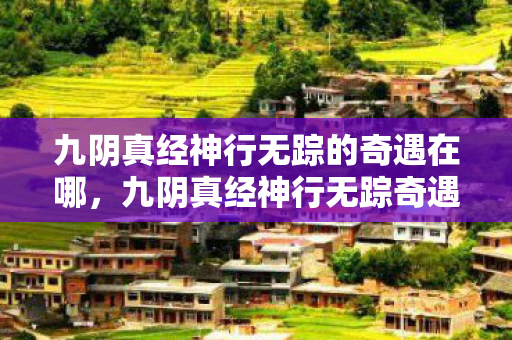 九阴真经神行无踪的奇遇在哪图片