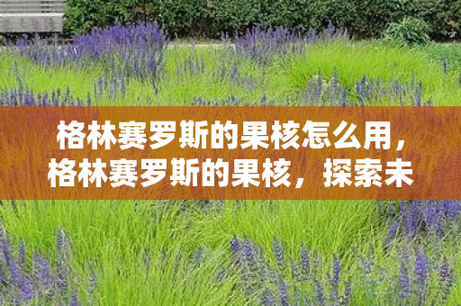 格林赛罗斯的果核怎么用图片