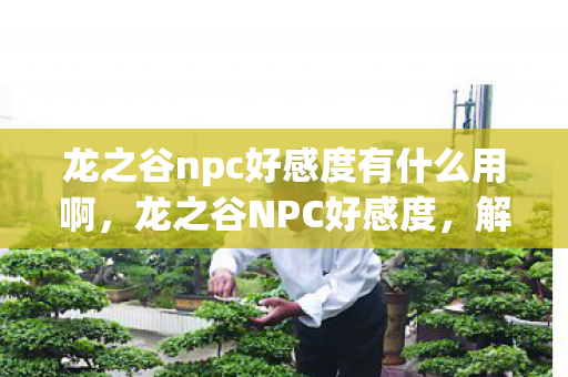 龙之谷npc好感度有什么用啊图片