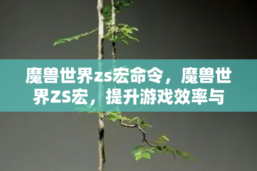 提升游戏效率与战斗体验图片