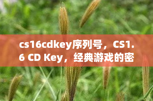 cs16cdkey序列号，CS1.6 CD Key，经典游戏的密钥与回忆