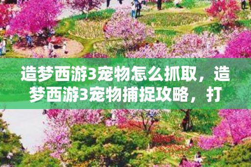 造梦西游3宠物怎么抓取图片