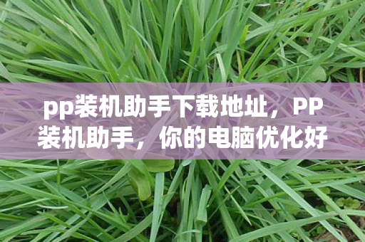 pp装机助手下载地址图片