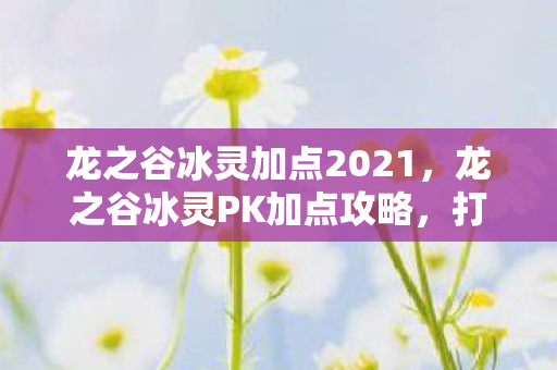 龙之谷冰灵加点2021图片