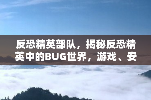 反恐精英部队，揭秘反恐精英中的BUG世界，游戏、安全与维护的较量