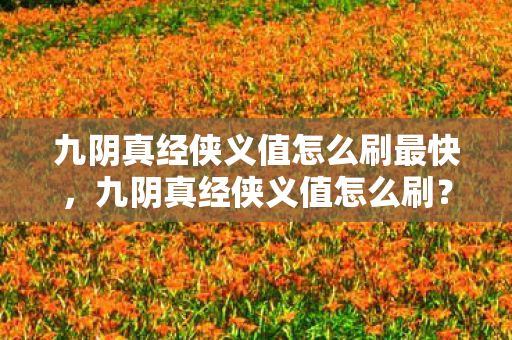 九阴真经侠义值怎么刷最快图片