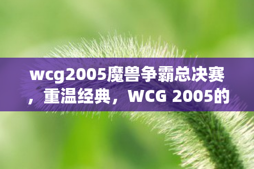 wcg2005魔兽争霸总决赛，重温经典，WCG 2005的辉煌与影响