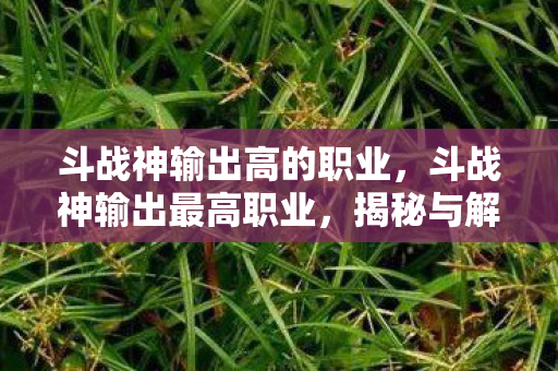 斗战神输出高的职业图片