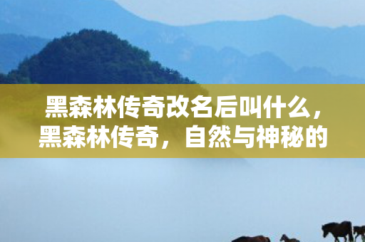 黑森林传奇改名后叫什么图片