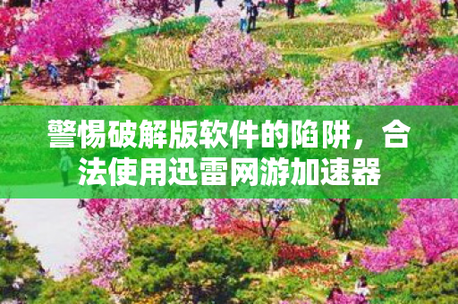 合法使用迅雷网游加速器图片