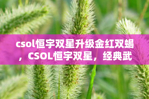 csol恒宇双星升级金红双蝎图片