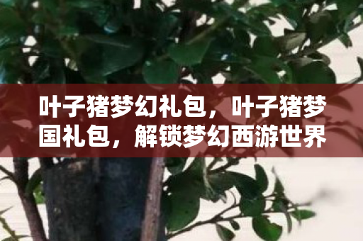 解锁梦幻西游世界的神秘宝藏图片