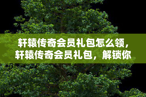 轩辕传奇会员礼包怎么领图片