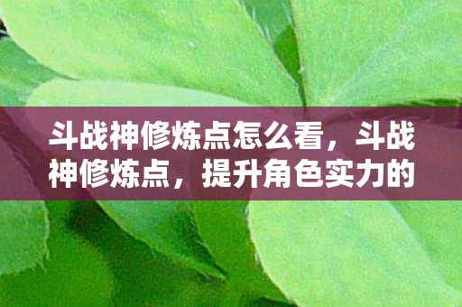 提升角色实力的关键要素图片