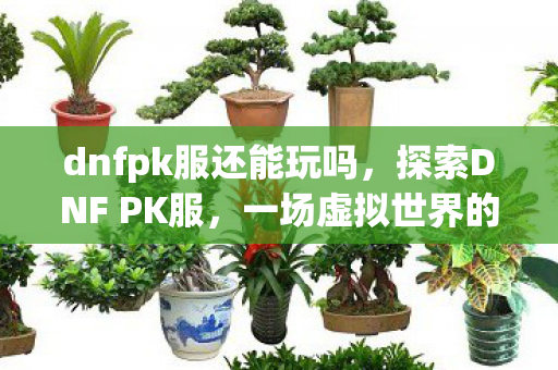 一场虚拟世界的战斗盛宴图片