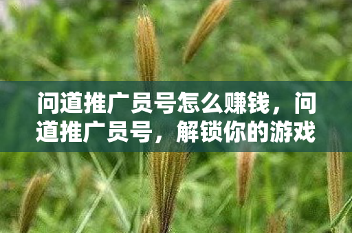 解锁你的游戏之旅新篇章图片