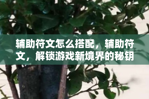解锁游戏新境界的秘钥图片