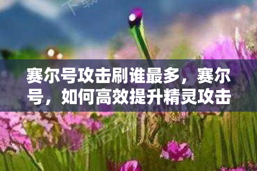 如何高效提升精灵攻击能力图片