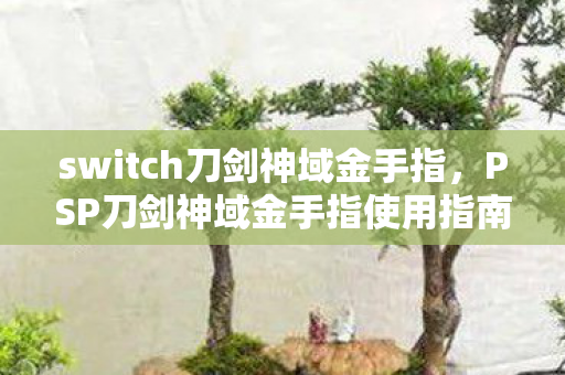 PSP刀剑神域金手指使用指南图片